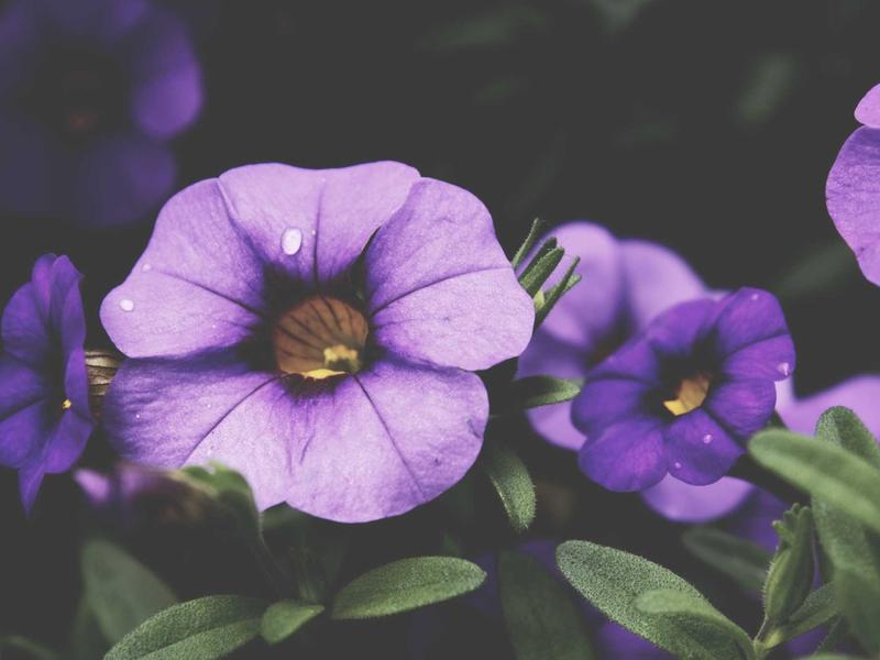 sudoku daily streak screenshot 4