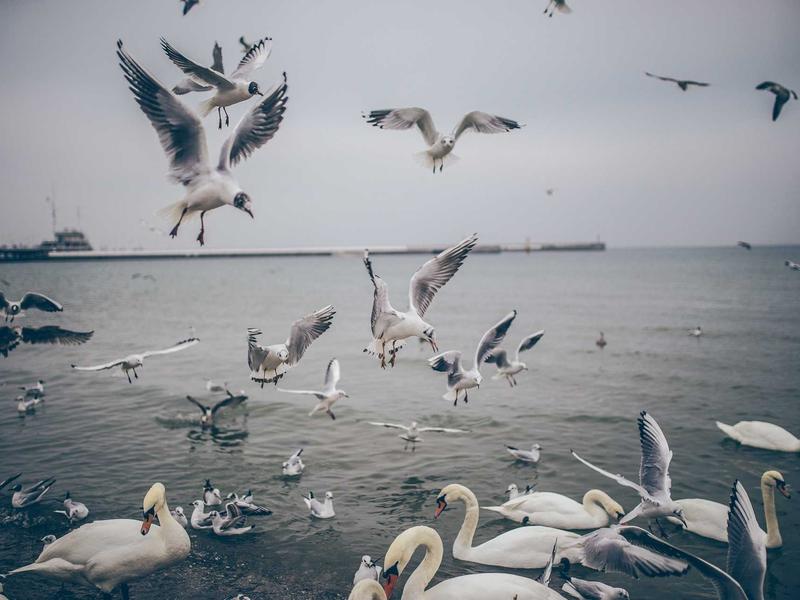 sudoku ocean theme screenshot 1